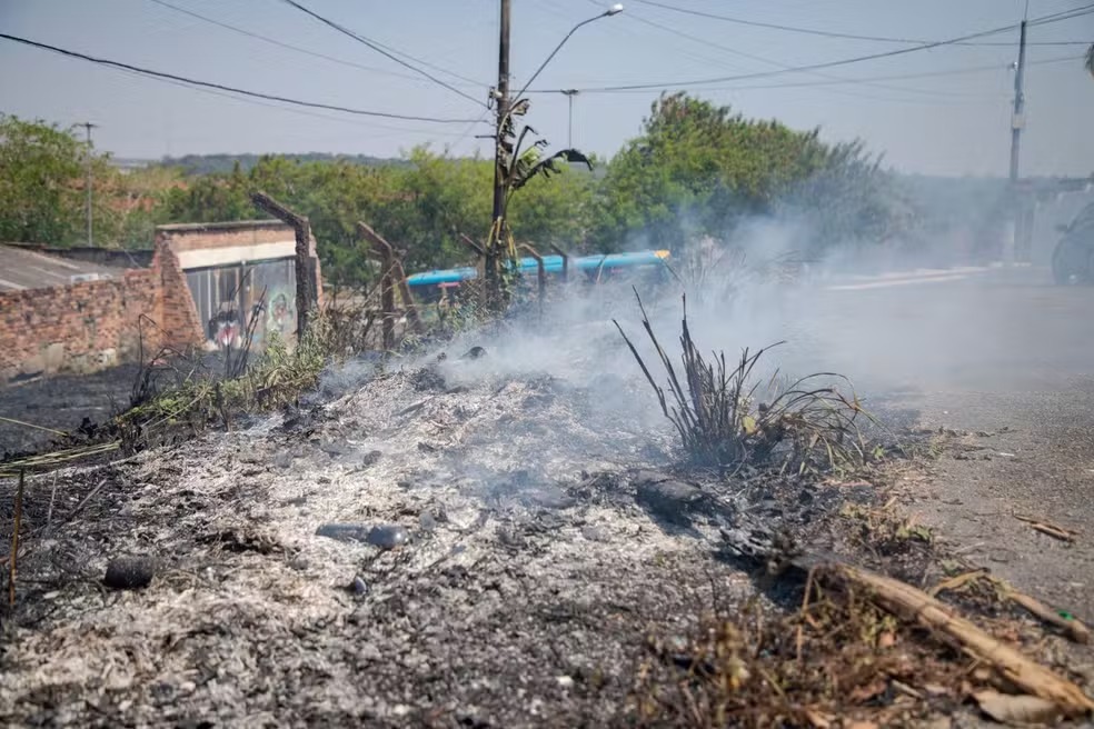 Lei que fortalece combate às queimadas é sancionada em Porto Velho — Foto: Reprodução Prefeitura de Porto Velho